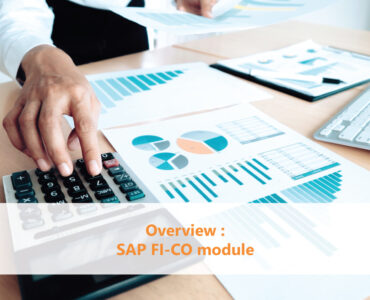 Overview SAP FI CO module