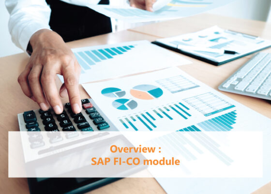 Overview SAP FI CO module