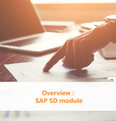 Overview SAP SD module