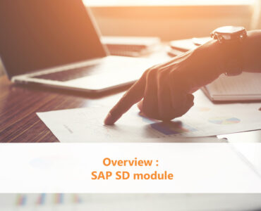 Overview SAP SD module