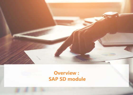 Overview SAP SD module
