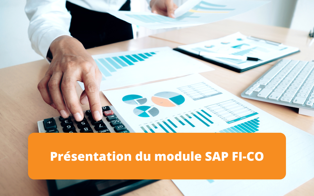 Présentation du module SAP FI-CO