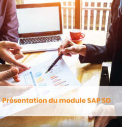 Présentation du module SAP SD
