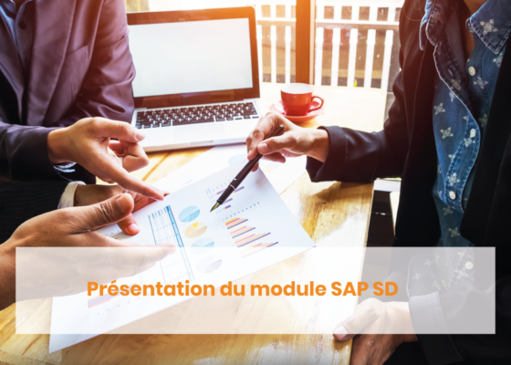 Présentation du module SAP SD