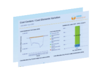 Rapport analyse des coûts RapidViews FICO
