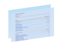 Rapport Bilan RapidViews FICO