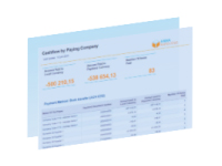 Rapport tresorerie par societe payante RapidViews FICO