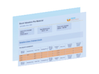 Rapport calendrier livraison par article RapidViews MM