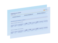 Rapport calendrier livraison par article RapidViews SD
