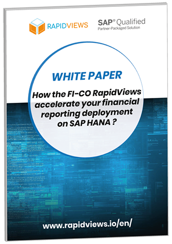 White Paper RapidViews FI-CO