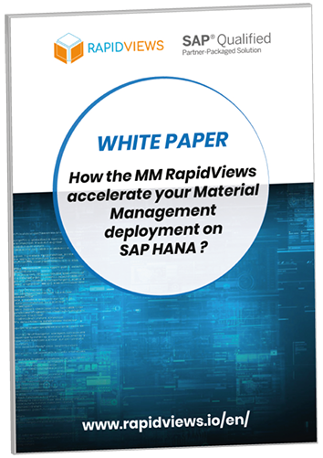 White Paper RapidViews MM