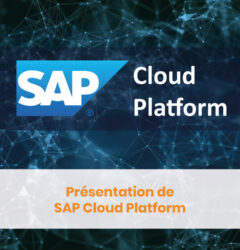 SAP Cloud Plartform Présentation