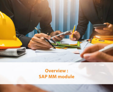 Overview SAP MM module