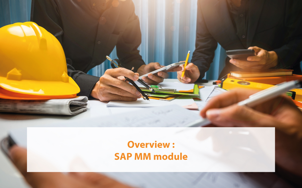 Overview SAP MM module