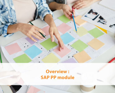 Overview SAP PP module