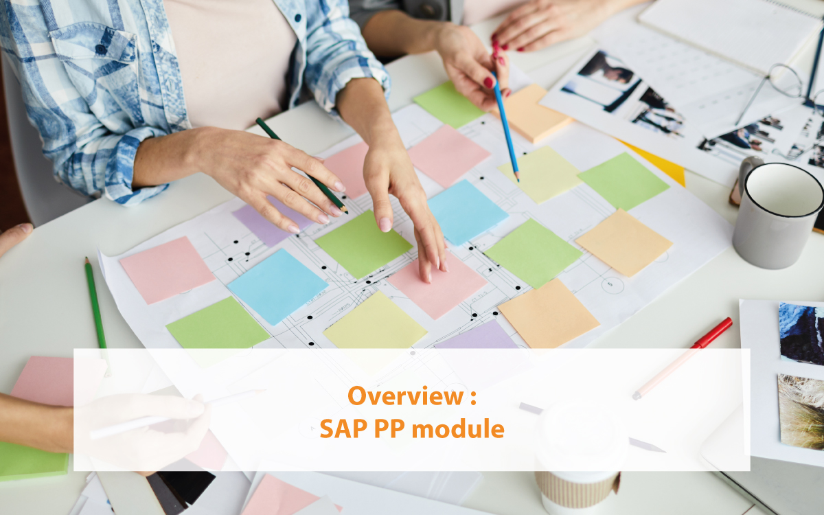 Overview SAP PP module