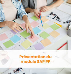 Module SAP PP