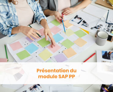 Module SAP PP