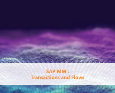 SAP MM Transactions and Flows