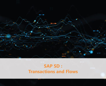 SAP SD Transactions and Flows