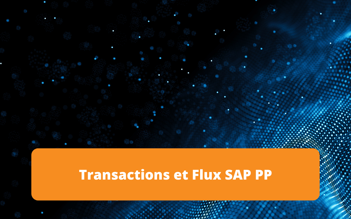 Vue d'ensemble des transactions et des flux dans SAP PP, axée sur la gestion des processus de production et de planification.