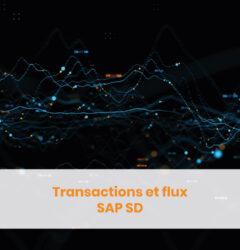 Transactions et flux SAP SD
