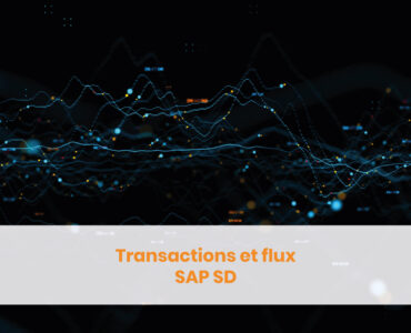 Transactions et flux SAP SD