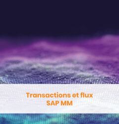 Transactions et flux SAP MM