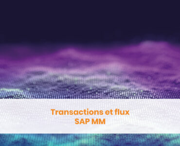 Transactions et flux SAP MM