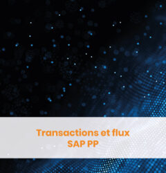 Transactions et flux SAP PP