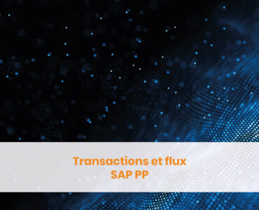 Transactions et flux SAP PP