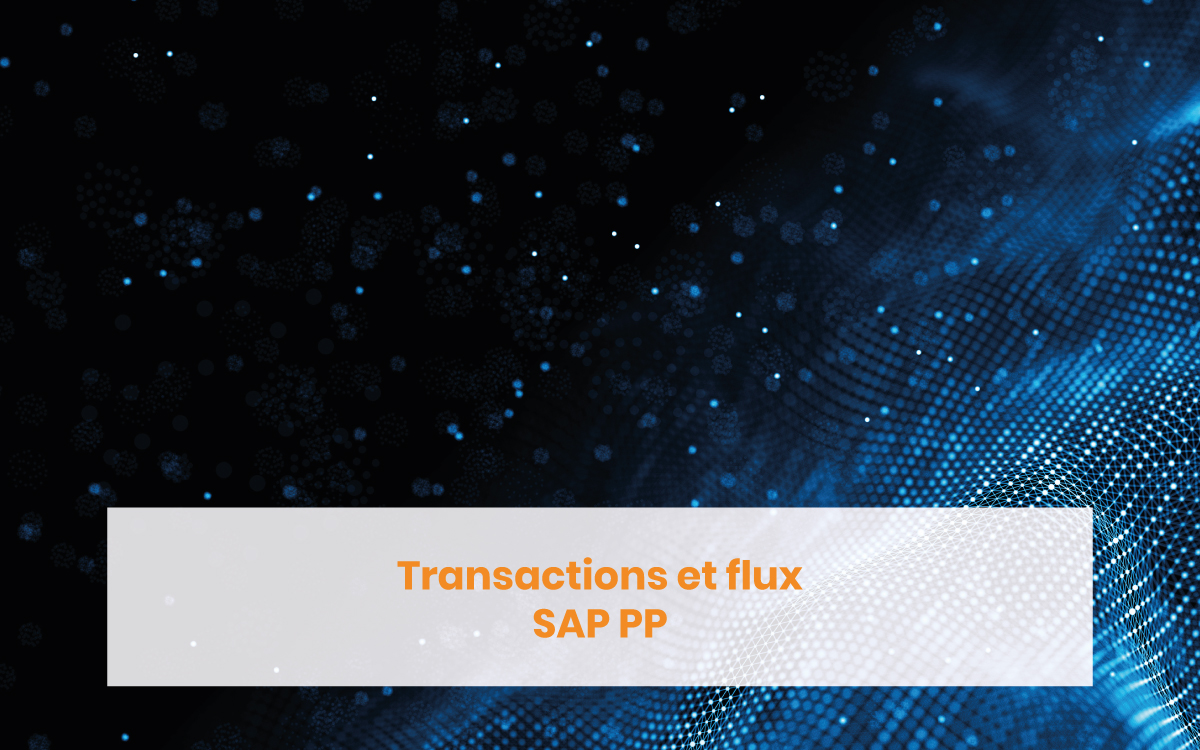 Transactions et flux SAP PP