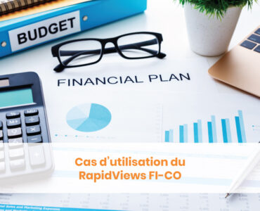 Cas d'utilisation du RapidViews FI-CO