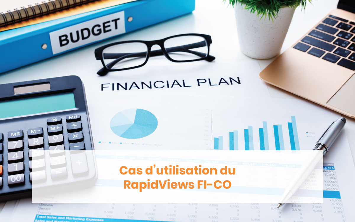 Cas d'utilisation du RapidViews FI-CO