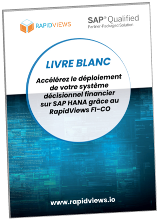 Livre blanc FI-CO Rapid Views