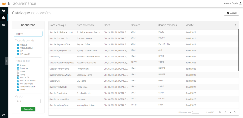 Fonction DATA Glossary BI Smart Repository