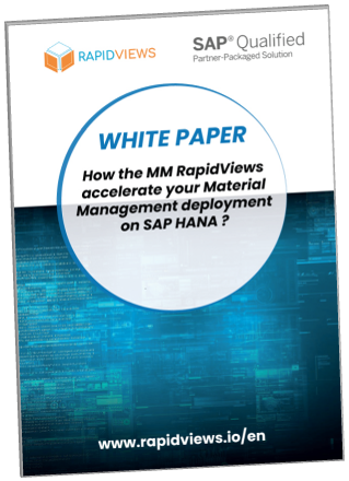 MM RapidViews White Paper