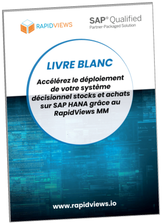 Livre blanc MM Rapid Views
