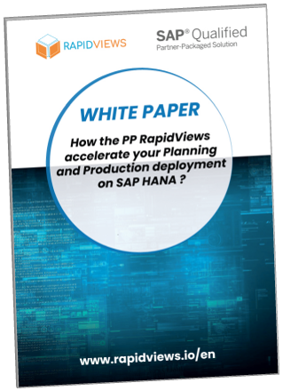 PP RapidViews White Paper