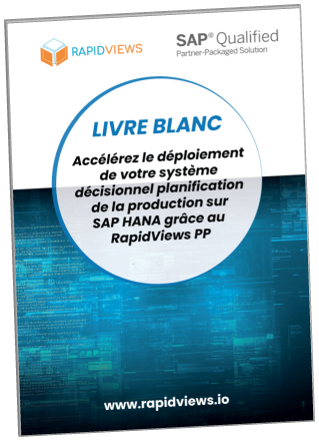 Livre blanc PP Rapid Views