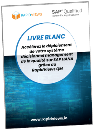 Livre blanc QM Rapid Views