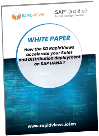 SD RapidViews White Paper