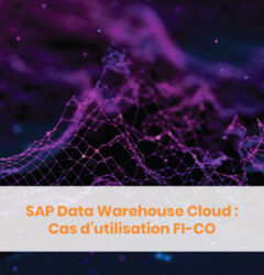 Sap DWC : FI-CO Blog
