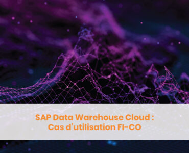 Sap DWC : FI-CO Blog