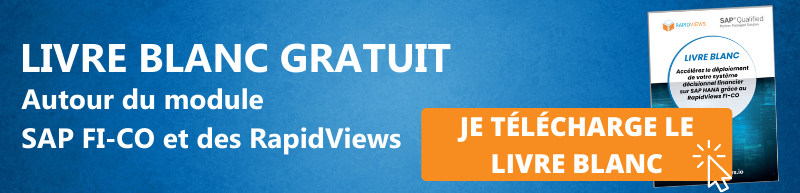 Bannière CTA Blog FICO FR