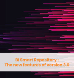 New features BI Smart Repository - Blog display