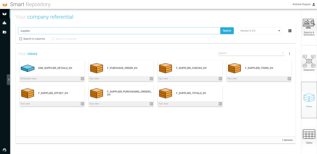 BI Smart Repository Interface EN