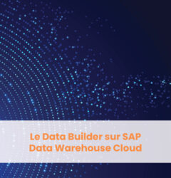 Blog RapidViews - Data Builder sur SAP Data Warehouse Cloud