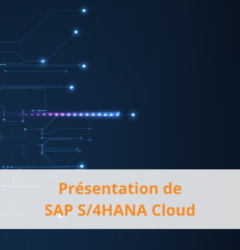 SAP S4HANA Public