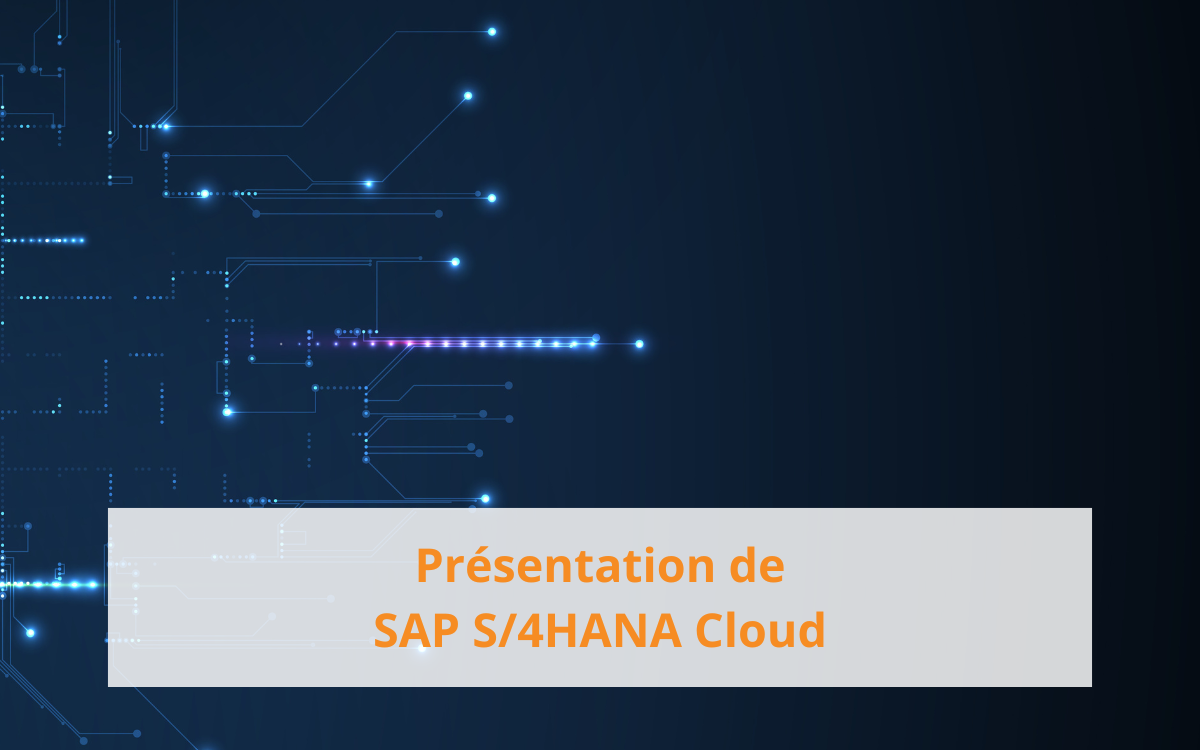 SAP S4HANA Public